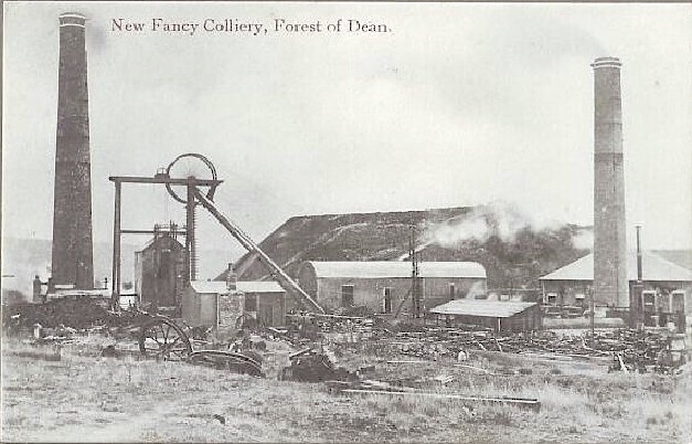 Forest Fuel and Colliery Steam